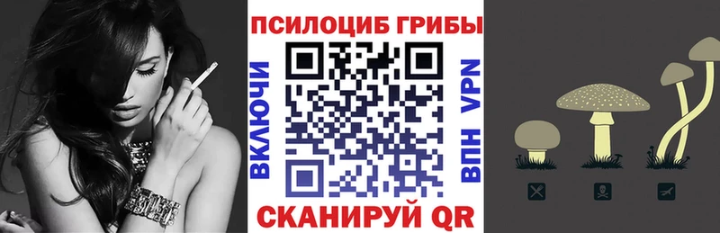 закладка  МЕГА как зайти  Галлюциногенные грибы прущие грибы  Звенигово 